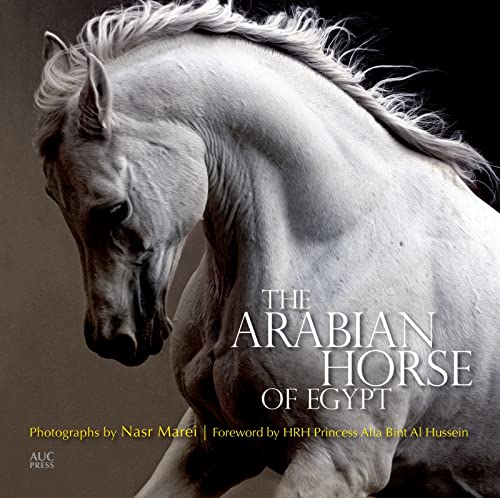 Stock image for The Arabian Horse of Egypt for sale by Ergodebooks