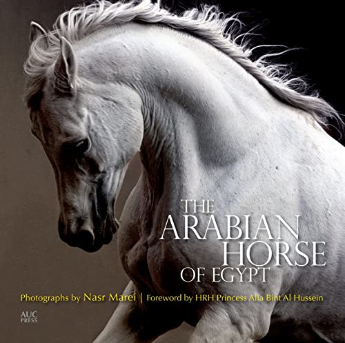 9789774166655: The Arabian Horse of Egypt