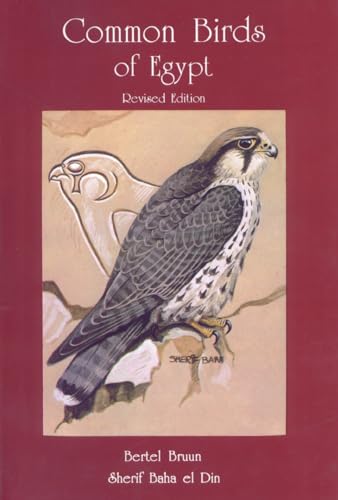 Stock image for Common Birds of Egypt for sale by The Recycled Book Company