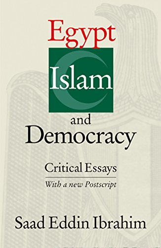 9789774246647: Egypt Islam and Democracy: Critical Essays