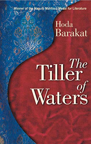 Stock image for The Tiller of Waters for sale by Hippo Books