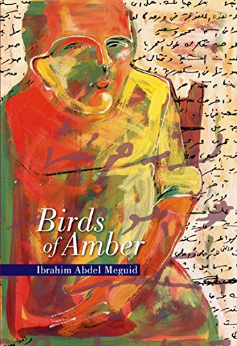 Beispielbild fr Birds of Amber zum Verkauf von ThriftBooks-Atlanta