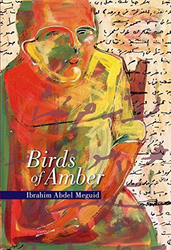 Stock image for Birds of Amber for sale by ThriftBooks-Atlanta