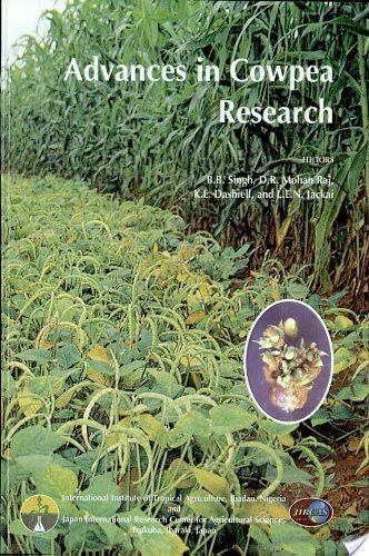 Stock image for Advances in Cowpea Research for sale by BookOrders