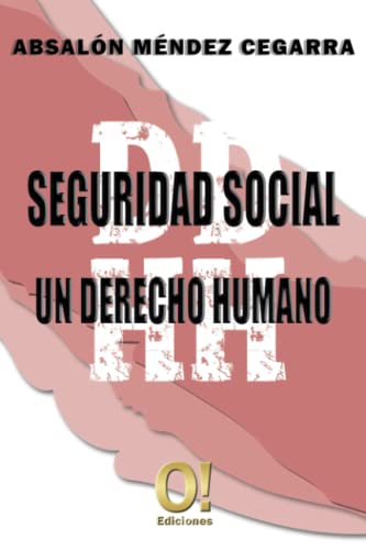 Stock image for Seguridad Social un derecho Humano for sale by PBShop.store US