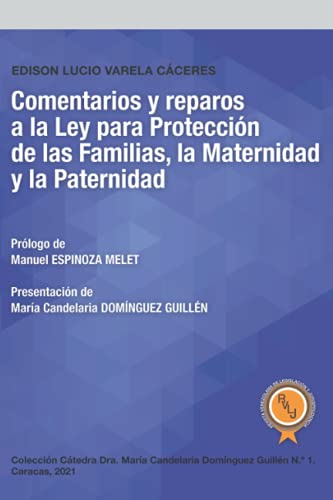 Stock image for Comentarios y reparos a la Ley para Protecci n de las Familias; la Maternidad y la Paternidad for sale by Ria Christie Collections