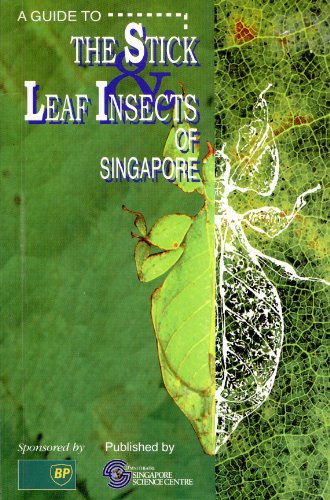 Beispielbild fr A guide to the stick & leaf insects of Singapore zum Verkauf von Robinson Street Books, IOBA