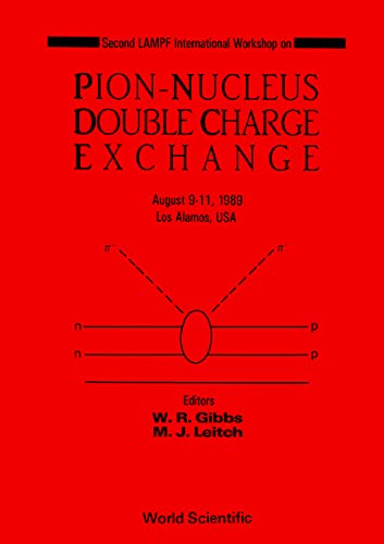 9789810201487: Pion-nucleus Double Charge Exchange - 2nd Lampf Workshop