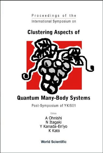 Imagen de archivo de Clustering Aspects of Quantum Many-Body Systems a la venta por BOOKWEST