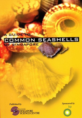 Imagen de archivo de A Guide to Common Seashells of Singapore by K. S. Tan (2000-05-03) a la venta por HPB-Emerald