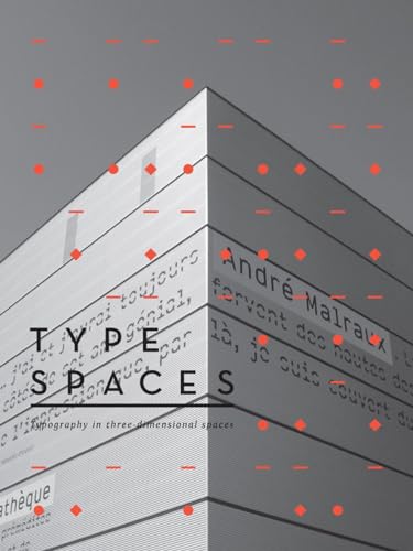 9789810773830: Type Spaces: Typography in a Three-Dimensional Space