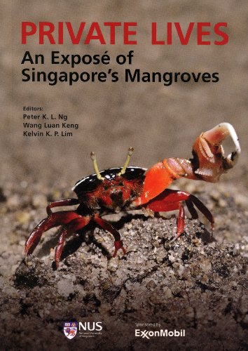 Beispielbild fr Private Lives: An Expos of Singapore's Mangroves zum Verkauf von HPB-Red