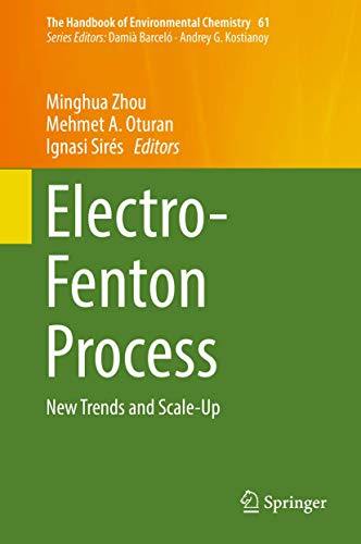 Stock image for Electro-Fenton Process: New Trends And Scale-Up for sale by Basi6 International