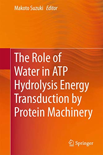 Stock image for The Role of Water in Atp Hydrolysis Energy Transduction by Protein Machinery for sale by ThriftBooks-Atlanta
