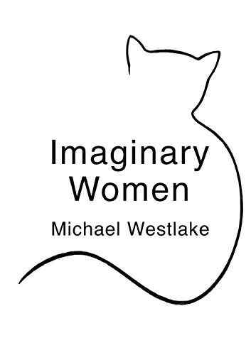 Beispielbild fr Imaginary Women zum Verkauf von PBShop.store US