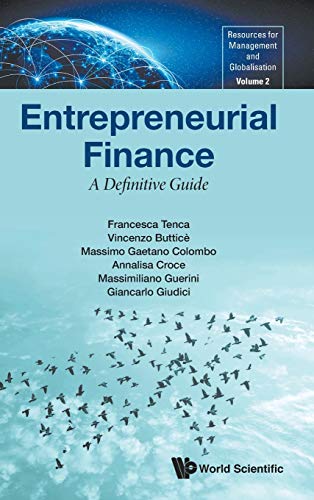 Imagen de archivo de Entrepreneurial Finance: A Definitive Guide a la venta por Revaluation Books