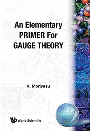 9789811254741: An Elementary Primer For Gauge Theory