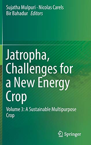 9789811331039: Jatropha, Challenges for a New Energy Crop: Volume 3: A Sustainable Multipurpose Crop