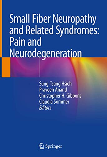 Imagen de archivo de SMALL FIBER NEUROPATHY AND RELATED SYNDROMES PAIN AND NEURODEGENERATION (HB 2019) a la venta por Books Puddle