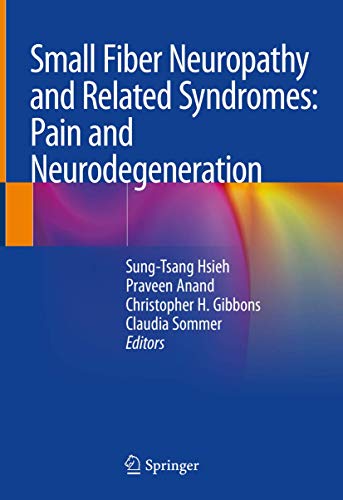 9789811335457: Small Fiber Neuropathy and Related Syndromes: Pain and Neurodegeneration