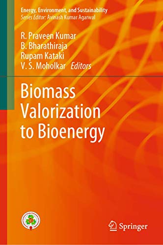 9789811504099: Biomass Valorization to Bioenergy (Energy, Environment, and Sustainability)