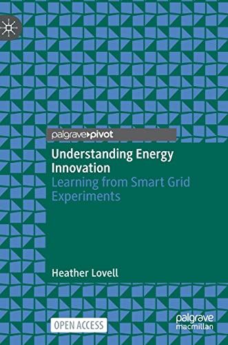 9789811662522: Understanding Energy Innovation: Learning from Smart Grid Experiments