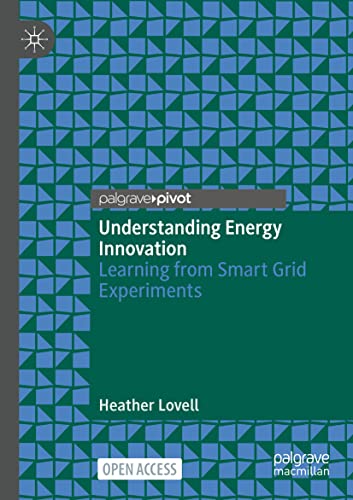 9789811662553: Understanding Energy Innovation: Learning from Smart Grid Experiments
