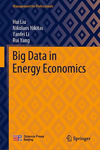 9789811689642: Big Data in Energy Economics