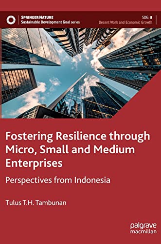 Beispielbild fr Fostering Resilience through Micro, Small and Medium Enterprises : Perspectives from Indonesia zum Verkauf von Blackwell's