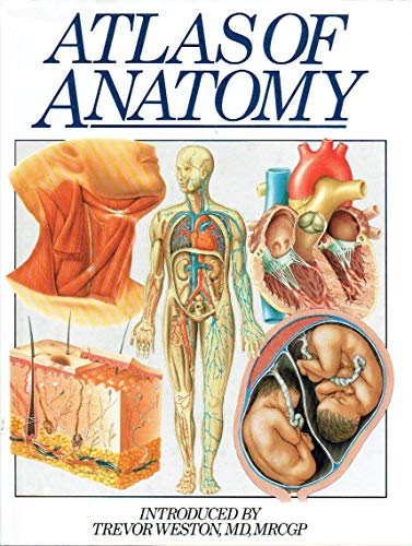 Imagen de archivo de Atlas of Anatomy a la venta por AwesomeBooks