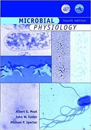 Imagen de archivo de Microbial Physiology a la venta por Majestic Books