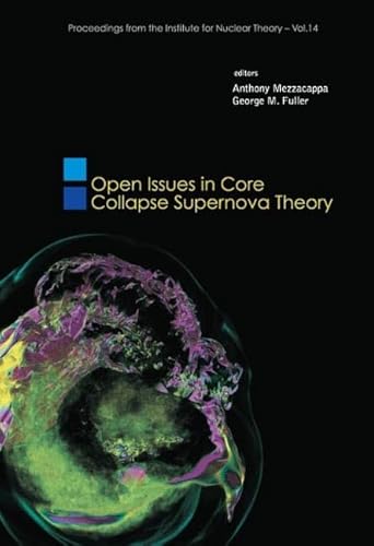 Open Issues in Core Collapse Supernova Theory