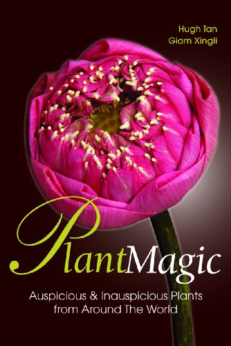 Stock image for Plant Magic for sale by Reuseabook