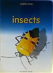 Imagen de archivo de Insects (My Photo) a la venta por JR Books