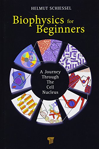 Stock image for Biophysics for Beginners: A Journey through the Cell Nucleus for sale by Chiron Media