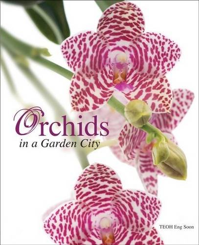 Imagen de archivo de Orchids in a Garden City a la venta por Ammareal