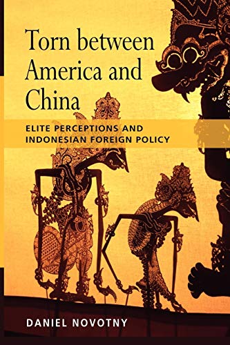 Stock image for Torn Between America and China: Elite Perceptions and Indonesian Foreign Policy for sale by Turning the Page DC