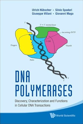 9789814299169: DNA POLYMERASES: DISCOVERY, CHARACTERIZATION AND FUNCTIONS IN CELLULAR DNA TRANSACTIONS