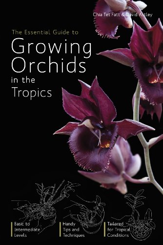 Beispielbild fr ESSENTIAL GUIDE TO GROWING ORCHIDS IN THE TROPICS zum Verkauf von Revaluation Books
