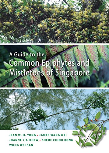 Stock image for A Guide to the Common Epiphytes and Mistletoes of Singapore for sale by Books Unplugged