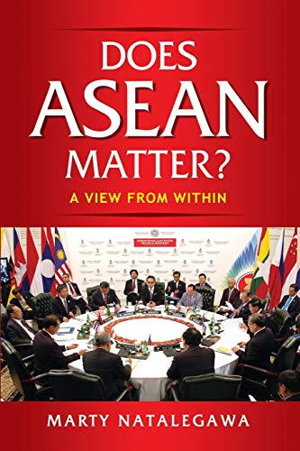 Stock image for Does ASEAN Matter?: A View from Within for sale by HPB-Red