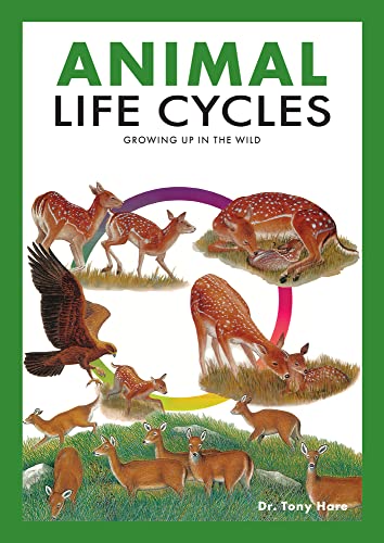Beispielbild fr Animal Life Cycles zum Verkauf von Blackwell's