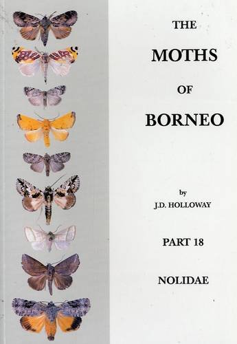9789834005344: The Moths of Borneo, Part 18: Nolidae