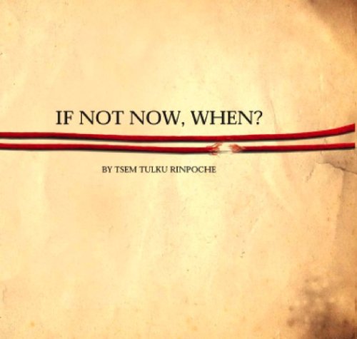 Stock image for If Not Now, When? for sale by AwesomeBooks