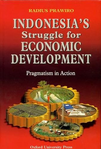 Imagen de archivo de Indonesia's Struggle for Economic Development: Pragmatism in Action a la venta por Great Matter Books