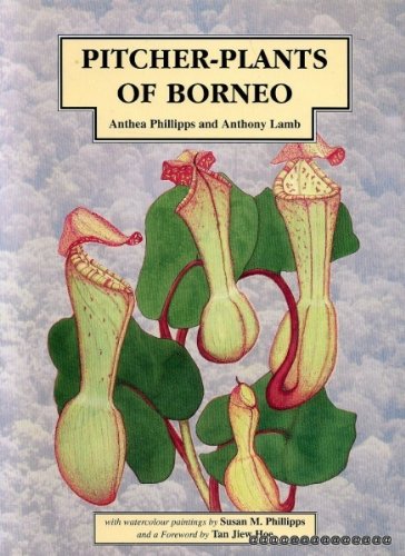 Stock image for Pitcher- Plants of Borneo for sale by Henri Cottage Books