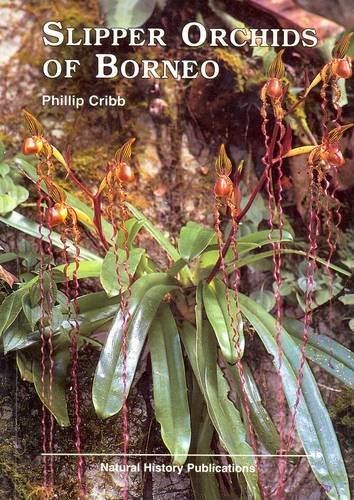 9789838120180: Slipper Orchids of Borneo