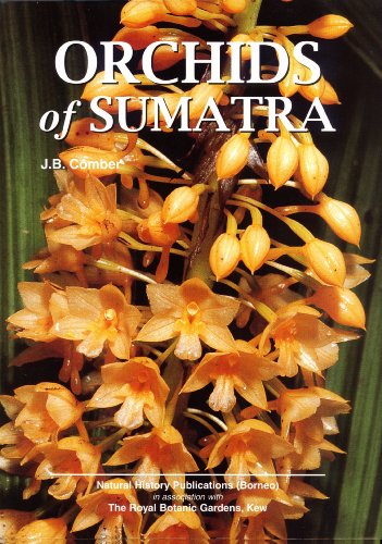 9789838120432: Orchids of Sumatra