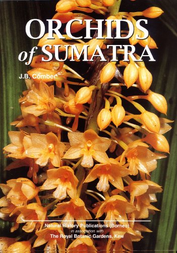 Stock image for Orchids of Sumatra for sale by Masalai Press