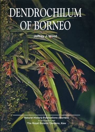 9789838120470: Dendrochilum of Borneo